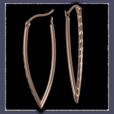 14 Karat Yellow Gold Diamond Cut Point Earrings Image